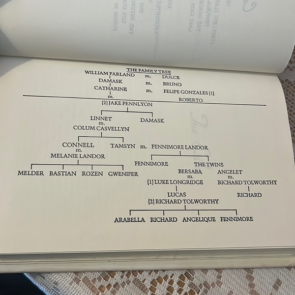 Lament For A Lost Lover, Philippa Carr - Picture 8 of 11